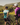 Latest Altura range