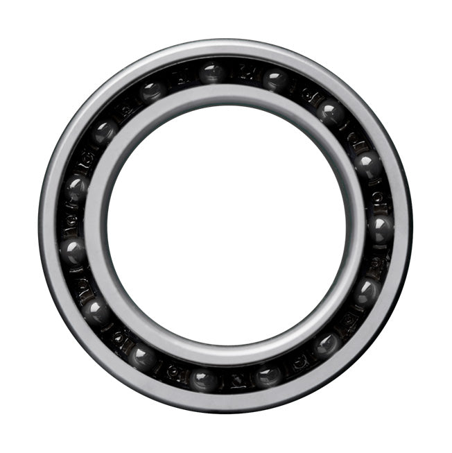 Single Bearing Coated 61805 (6805)