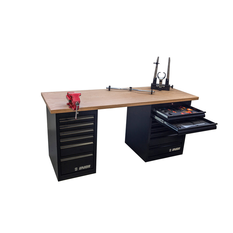 UNIOR MASTER WORKBENCH