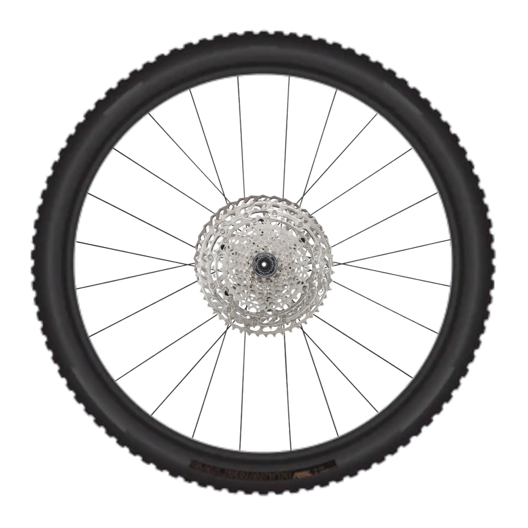 Rear wheel for MTB Disc Standard Quick Release