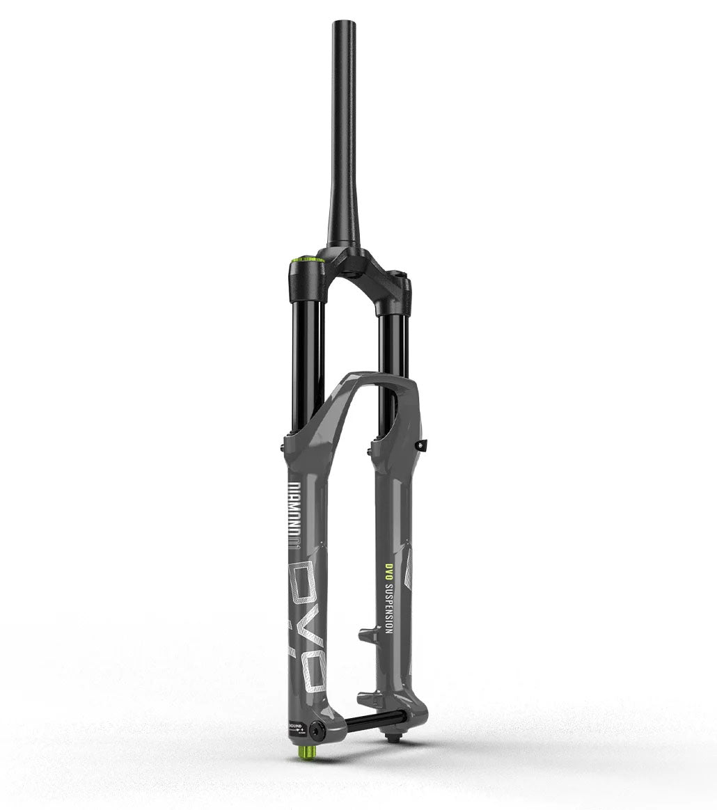 Diamond 36 D1 SL 29" 160mm Travel Boost 15mm Bolted Axle