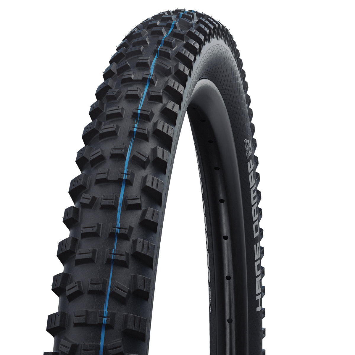 Schwalbe Hans Dampf Super Trail Addix SpeedGrip TLE Evo Tyre in Black (Folding)