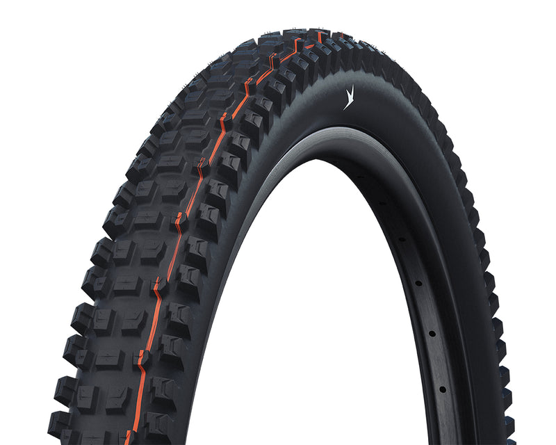 Schwalbe Albert Gravity Pro Radial Soft MTB Tyre in Black (Fold)