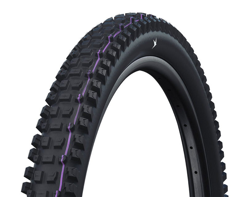 Schwalbe Albert Gravity Pro Radial Ultra Soft MTB Tyre in Black (Fold)