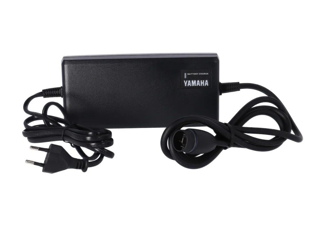 Yamaha Battery Charger